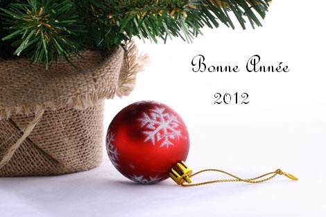 http://img72.xooimage.com/files/0/9/2/bonne-annee-302b116.jpg
