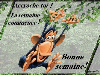 MAI : Rosée en avril et mai, rend août et septembre gai - Page 4 Accroche-toi-la-s...commence-323e913