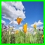 http://img72.xooimage.com/files/4/9/c/images3-28e0398.jpeg