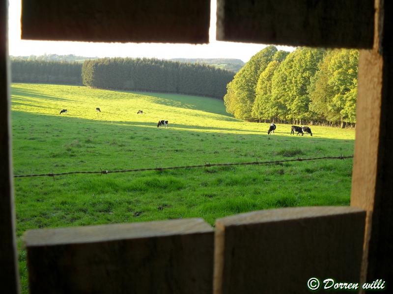 promenade sur les fagnes et alentours ( jalhay ) le 16-oct-2011 Dpp_jalhay---16-o...1---0030-2dd7030