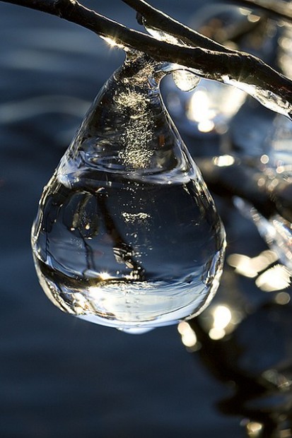 http://img72.xooimage.com/files/8/0/5/belle-goutte-30947d7.jpg