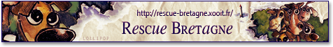 Bannière Rescue Bretagne