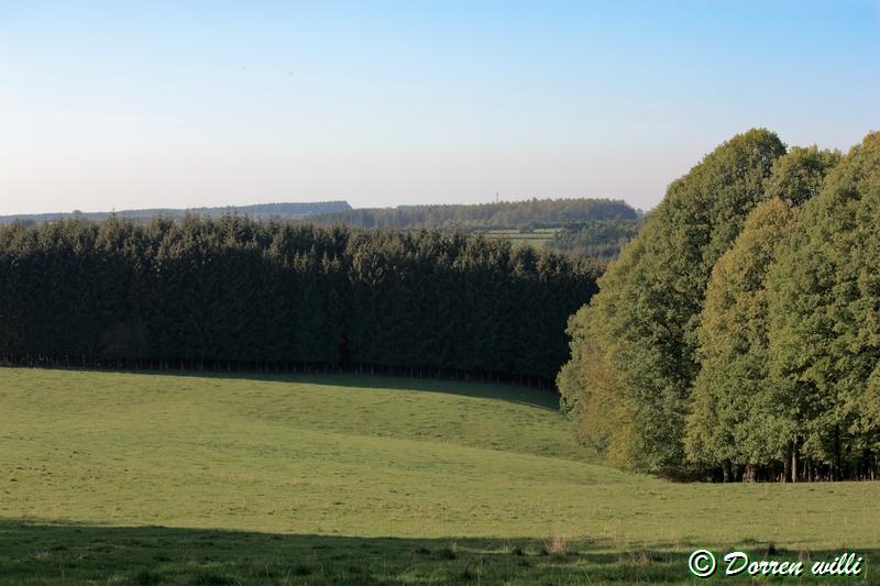 promenade sur les fagnes et alentours ( jalhay ) le 16-oct-2011 Dpp_jalhay---16-o...1---0033-2dd7090