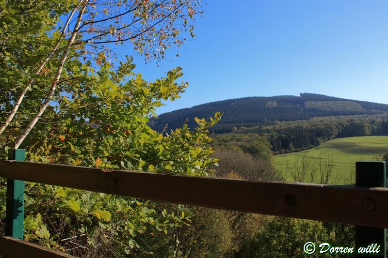 promenade sur les fagnes et alentours ( jalhay ) le 16-oct-2011 Dpp_jalhay---16-o...1---0021-2dd6e8e